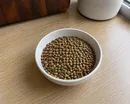 Brown or Green Lentils
