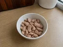 Canned Wild Tuna in Water