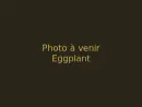 Eggplants