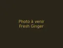 Fresh Ginger