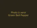 Green Bell Pepper