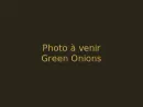 Green Onions