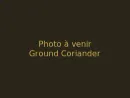 Ground Coriander