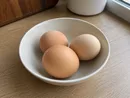 Eggs