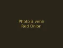 Red Onion